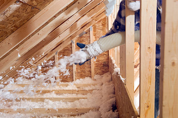 Best Spray Foam Insulation  in Duncanville, TX